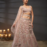 Grand Lavish Net Lehengha Choli