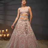 Grand Lavish Net Lehengha Choli
