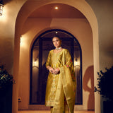 Faridan Exclusive Handwork Suit