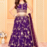 Violet Kids Embroidered Lehenga