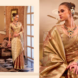 Beautiful Designer Zimmy Choo Saree