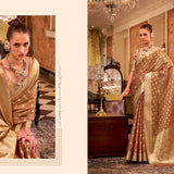 Beautiful Designer Zimmy Choo Saree