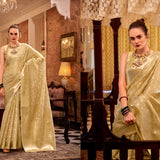 Beautiful Designer Zimmy Choo Saree