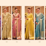 Beautiful Designer Zimmy Choo Saree