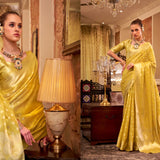 Beautiful Designer Zimmy Choo Saree