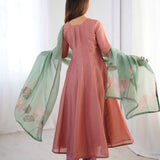 Trendy Tabby Organza Suit