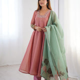 Trendy Tabby Organza Suit