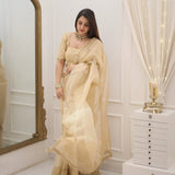 new Soft organza  beautiful saree