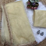 new Soft organza  beautiful saree