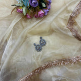 new Soft organza  beautiful saree