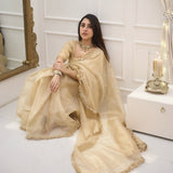 new Soft organza  beautiful saree
