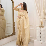 new Soft organza  beautiful saree