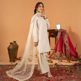 Designer Natural Creap Straight Suit
