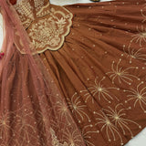 Simren Designer Top Lehenga