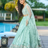 Sea Green Wedding Net Lehenga
