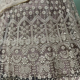 Beige Designer Net Lehenga