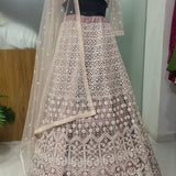 Beige Designer Net Lehenga
