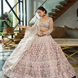Beige Designer Net Lehenga