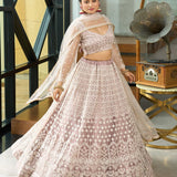 Beige Designer Net Lehenga