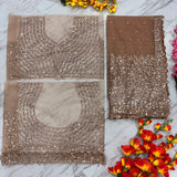 Celebrity Premium Net Sequence Saree