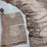 Celebrity Premium Net Sequence Saree