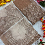 Celebrity Premium Net Sequence Saree