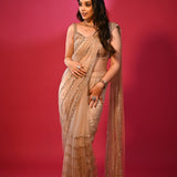 Beautiful Golden Sequence Saree