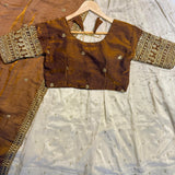 Traditional Tissue Silk Lehenga Choli