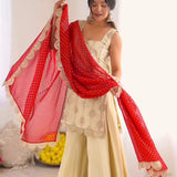 Digital Printed Anarkali Suit
