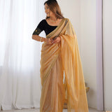 Beautiful Twill Net Sequence Saree