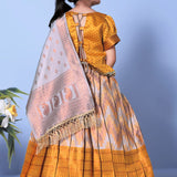 Traditional Zig Zag Kids Lehenga