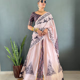 Festive Abrastic Cotton Lehenga