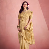 Wonderful Tissue Silk Saree Collection