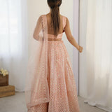 Glowing Peach Net Lehenga Choli