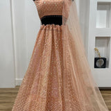 Glowing Peach Net Lehenga Choli