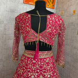 Stunning Heavy Embroidered Lehenga