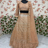 Butterfly Net Embellished Lehenga