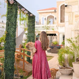 Classic Light Pink Embroidered Suit