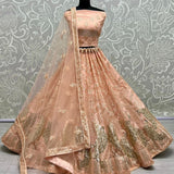 Elegant Peacock Embroidered Lehenga