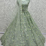 Beautiful Sequence Pistachio Lehenga