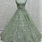 Beautiful Sequence Pistachio Lehenga