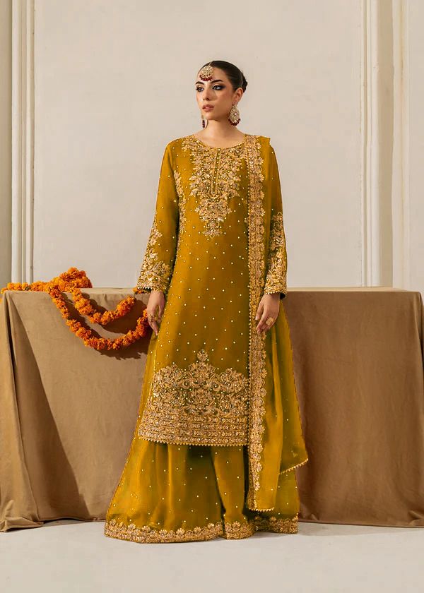 Pakistani Embroidered Straight Suit