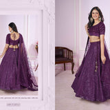 Vamika Classic Sequence Work Lehnega