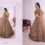 Vamika Classic Sequence Work Lehnega