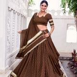 Traditional Chanderi Zari Weaving Lehenga