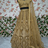 Premium Butterfly Net Embellished Lehenga