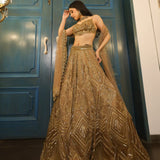 Premium Butterfly Net Embellished Lehenga