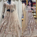 Adorn Peacock Embroidered Lehenga