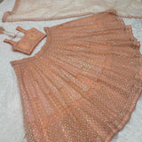 Peach Royal Embroidered Lehenga