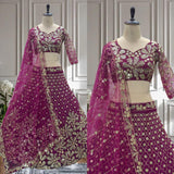 Crafted Butterfly Net Lehenga Choli